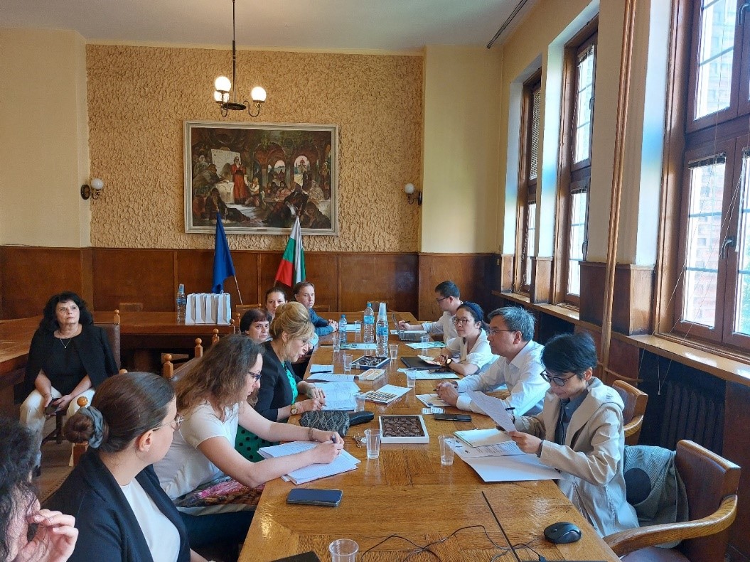 Discussion between Bulgarian and Chinese teams